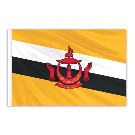 Brunei Indoor Nylon Flag 5'x8' With Gold Fringe